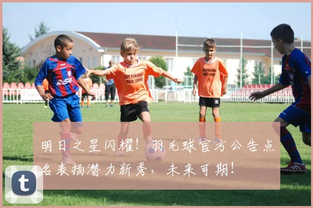 明日之星闪耀！羽毛球官方公告点名表扬潜力新秀，未来可期！